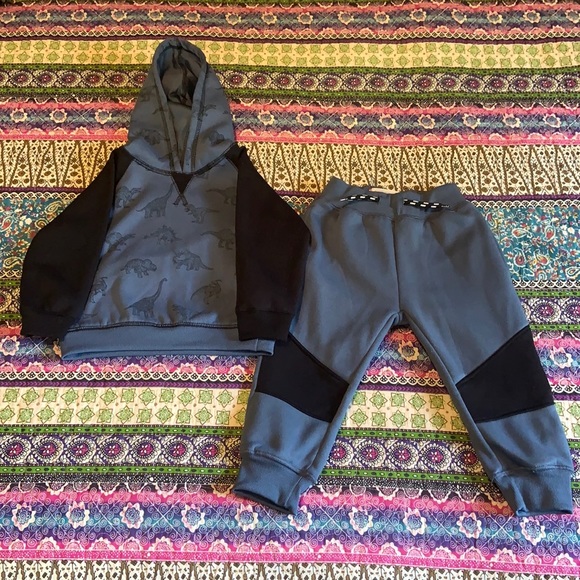 Free Planet Other - Free Planet Dinosaur Matching Sweatsuit 24M